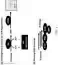 Fig. 06 - BIOSYNTHESIS OF PREPARING NICOTINAMIDE MONONUCLEOTIDE AND DERIVATIVES THEREOF