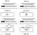 Fig. 02 - Method for Secretory Production of Protein