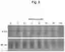 Fig. 08 - HISTAMINE MEASUREMENT METHOD AND KIT