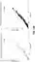 Fig. 22 - INTRACELLULAR ABSEQ