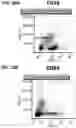 Fig. 33 - INTRACELLULAR ABSEQ