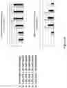 Fig. 09 - METHODS OF DETECTING NUCLEIC ACID