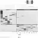 Fig. 03 - Methods utilizing leukocyte RNA expression in prognosis evaluation of medical interventions for epilepsy