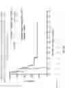 Fig. 15 - Assays and methods for selecting a treatment regimen for a subject with leukemia