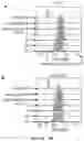 Fig. 18 - Assays and methods for selecting a treatment regimen for a subject with leukemia