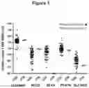 Fig. 02 - Marker genes for colorectal cancer classification, method for judging lymph node metastasis for prognosis of colorectal cancer and kit therefor