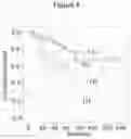 Fig. 06 - Marker genes for colorectal cancer classification, method for judging lymph node metastasis for prognosis of colorectal cancer and kit therefor