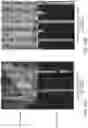 Fig. 19 - Large area group III nitride crystals and substrates, methods of making, and methods of use