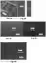 Fig. 04 - METHODS AND DEVICES FOR MAKING NANOFIBERS AND NANOFIBER SCAFFOLDS