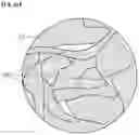 Fig. 07 - Graphene fiber and method of manufacturing the same