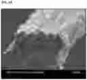 Fig. 16 - Graphene fiber and method of manufacturing the same