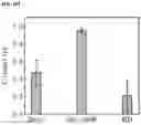 Fig. 20 - Graphene fiber and method of manufacturing the same