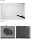 Fig. 31 - Graphene fiber and method of manufacturing the same