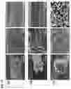 Fig. 34 - Graphene fiber and method of manufacturing the same
