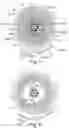 Fig. 05 - Device for hydraulically operating a drive wheel of a wellbore tractor, e.g. a motor, and related tractor, wellbore string, and method