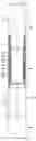 Fig. 01 - Patch for joining downhole ends of pipes