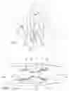 Fig. 02 - Turbine vane comprising a passive system for reducing vortex phenomena in an air flow flowing over said vane