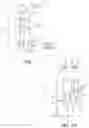 Fig. 02 - MACHINE FOR DRIVING AN ELECTRIC GENERATOR