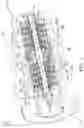 Fig. 02 - Apparatus for transferring pressurized fluid in a back-to-back multi-stage pump