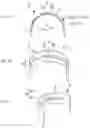 Fig. 06 - CRANKSHAFT OIL SUPPLY STRUCTURE