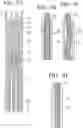 Fig. 08 - Temperature sensor and cooking appliance