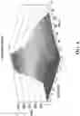 Fig. 07 - Method and system for detecting dynamic strain