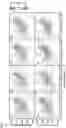 Fig. 08 - Method of analysing an aqueous fluid using 2D-IR spectroscopy