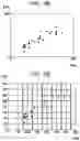 Fig. 43 - Information processing apparatus, information processing method, and program