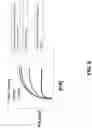 Fig. 07 - Compositions, kits, and methods for multiplex assays to correct for biotin interference in target analyte measurements