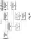 Fig. 09 - Seismic data interpretation system