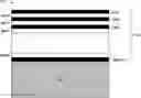 Fig. 01 - Sensor window configured to pass near-infrared light and to reflect colors of light different from a color of a surface adjacent to the window