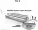 Fig. 03 - Polymer waveguide accommodating dispersed graphene and method for manufacturing the same, and laser based on the polymer waveguide