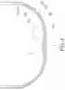 Fig. 05 - Eyeglasses structure