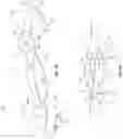 Fig. 05 - ADJUSTABLE EYEWEAR RESTRAINTS, SYSTEMS, AND METHODS