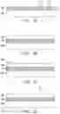 Fig. 02 - Active device substrate and method for manufacturing the same