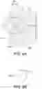 Fig. 10 - Adjustable optical module and projector