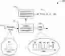Fig. 01 - Clockless time-to-digital converter