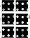 Fig. 09 - Thermal mapping