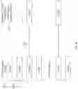 Fig. 09 - Interactively presenting a visible portion of a rendering surface on a user device