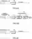 Fig. 07 - Electronic device and method for controlling buffer