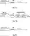 Fig. 08 - Electronic device and method for controlling buffer