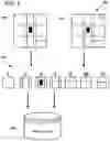 Fig. 04 - Puzzle-based pattern analysis and classification