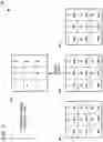 Fig. 08 - Puzzle-based pattern analysis and classification
