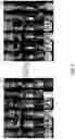 Fig. 07 - Systems and methods for consistent presentation of medical images using deep neural networks