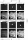 Fig. 09 - Systems and methods for consistent presentation of medical images using deep neural networks