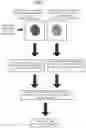 Fig. 02 - Identification apparatus, identifier training method, identification method, and recording medium