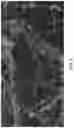 Fig. 07 - Systems and methods for imaging samples with reduced sample motion artifacts