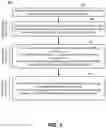 Fig. 04 - Multi-object image parsing using neural network pipeline