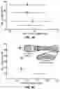 Fig. 06 - Three-dimensional knee model with realistic physiological and biomechanical knee function