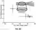 Fig. 07 - Three-dimensional knee model with realistic physiological and biomechanical knee function